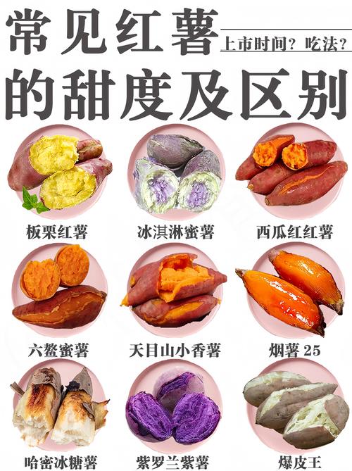 红薯和地瓜是一个吗_红薯和地瓜的区别