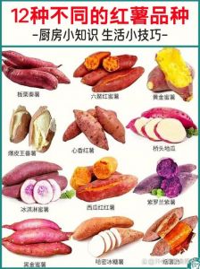 地瓜与红薯是一个品种吗_红薯地瓜有区别，口感营养各不同