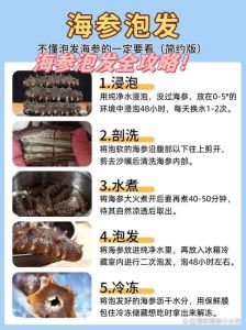 泡发干海参的最佳方法_干海参泡发方法多，冷水慢营养好，温水快碱水佳