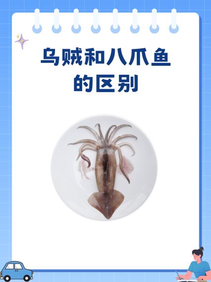 墨鱼和乌贼是同一种鱼吗_墨鱼乌贼怎么区分?白灼红烧有讲究 墨鱼和乌贼是同一种鱼吗_墨鱼乌贼怎么区分?白灼红烧有讲究