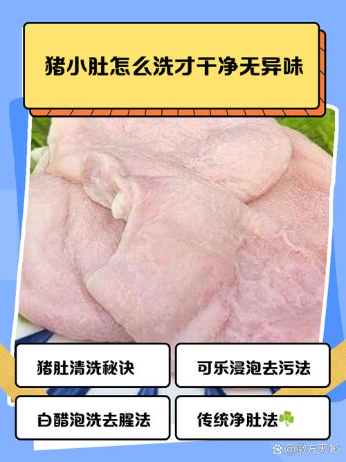 猪肚子的腥味怎样去除_醋淀粉揉搓除味，姜片料酒煮熟猪肚香
