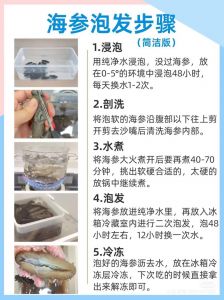 冻干海参泡发的正确方法_海参泡发方法多，选对保营养