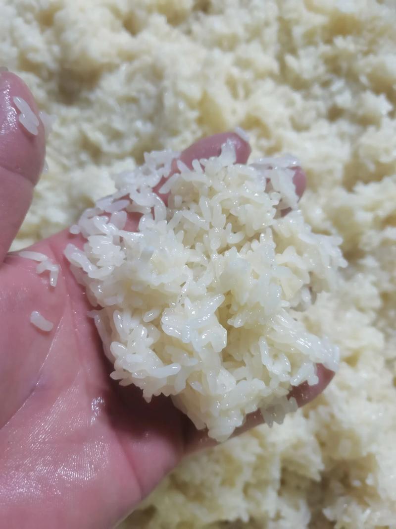 蒸大米饭家常做法_量杯定米瓷盆蒸，一指节水，加料更营养