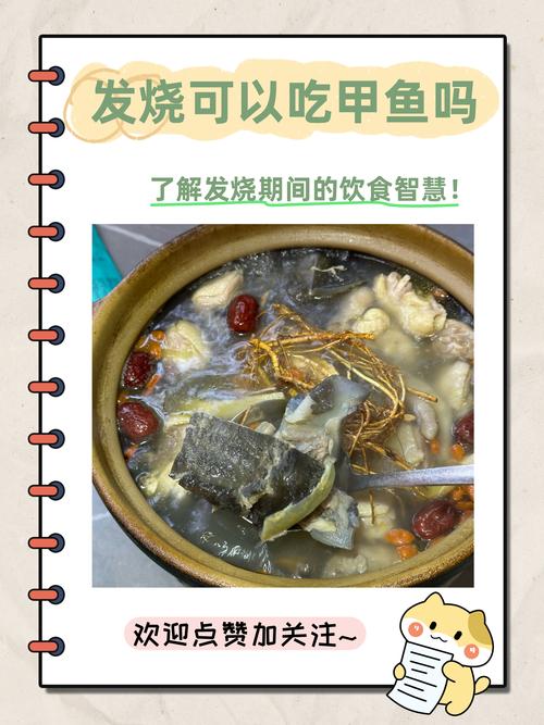 甲鱼一顿吃不完怎么办_甲鱼冷冻有讲究，现做现吃品质好