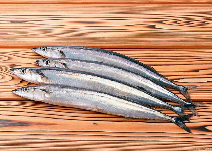 带鱼属于深海鱼类吗_常见海鲜,易捕捞,肉质鲜嫩,食用方便 带鱼属于深海鱼类吗_常见海鲜,易捕捞,肉质鲜嫩,食用方便