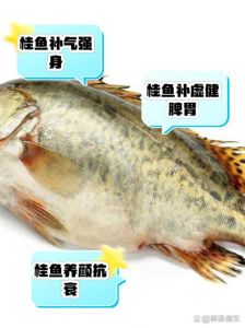 桂花鱼和桂鱼是一种吗_桂花鱼就是鳜鱼，贵价美味，适合清蒸