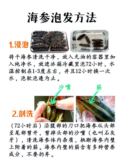 怎么发海参最佳方法干海参的泡发_泡发步骤与技巧