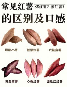 红薯和地瓜的区别_红薯地瓜有啥区别？颜色形状口感都不同