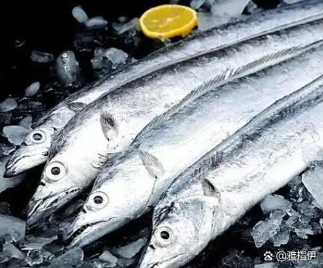 深海带鱼和带鱼的区别_肉质更优，冬季最鲜