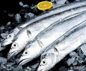 深海带鱼和带鱼的区别_肉质更优，冬季最鲜