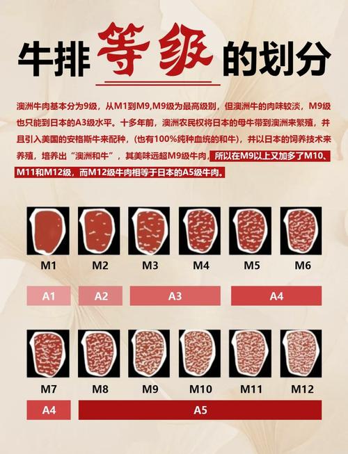 牛排分别有几分熟_牛排熟度怎么选？一分到全熟口感风味全解析