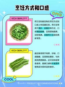 扁豆荷兰豆图解_扁豆荷兰豆怎么选？辨别营养烹饪方法