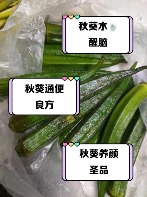 秋葵用水焯几分钟能熟_焯水秋葵2-3分钟，鲜嫩入味小技巧