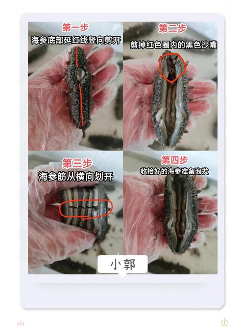 怎么样泡发干海参正确方法_轻松搞定，鲜美可口