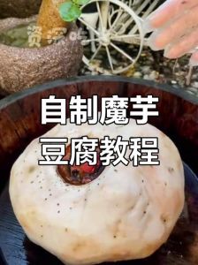 魔芋豆腐小吃做法_麻辣鲜香，简单易学！