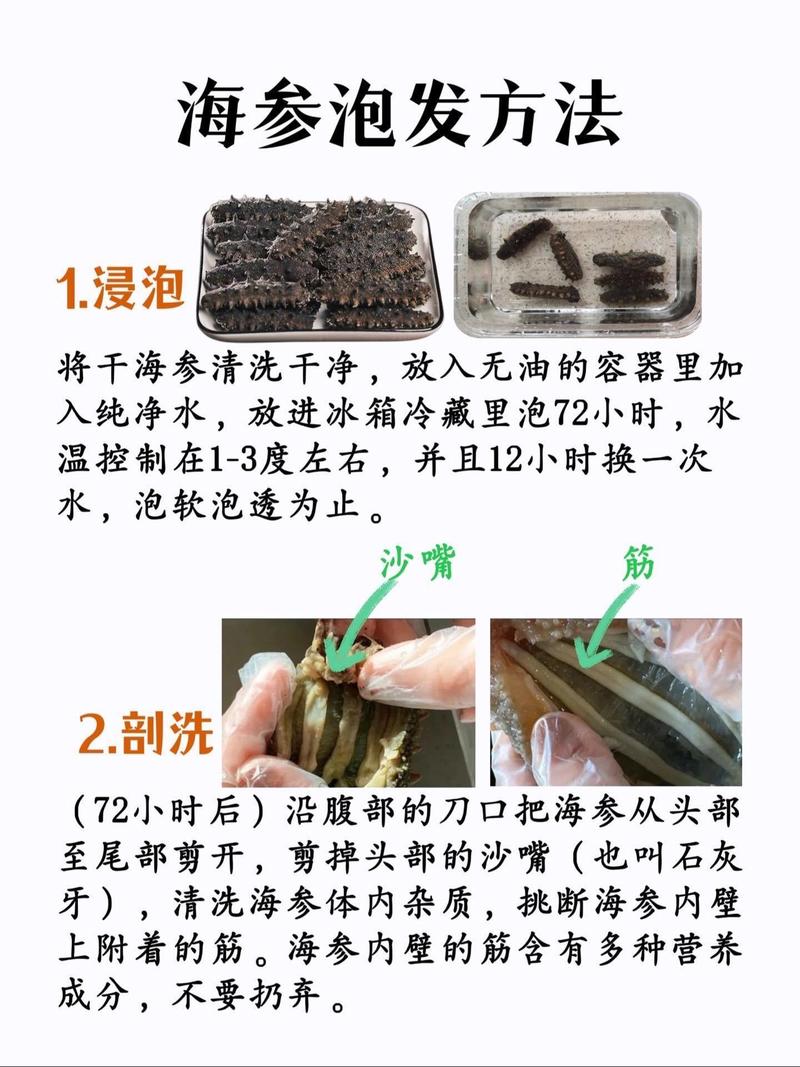 家庭简单泡海参方法_简单快速搞定Q弹美味