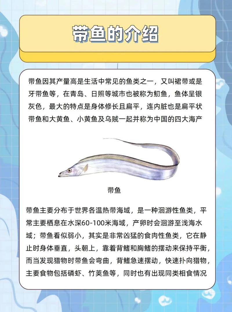 带鱼为什么没有活的_高压生存难，养殖成本高