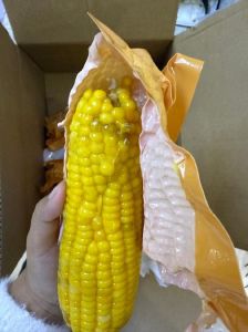 玉米粒根部发黑是坏了吗_玉米粒根部发黑？别吃！安全第一