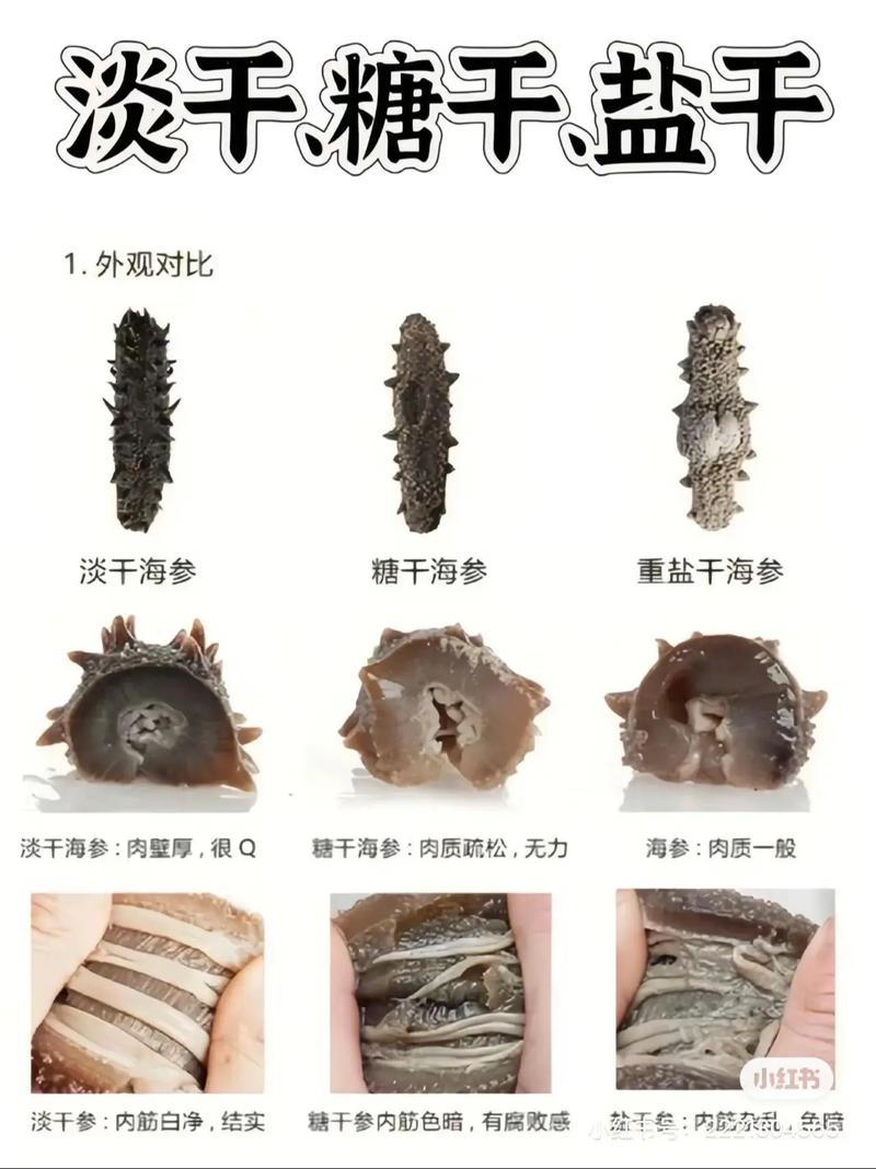 发干海参的家常做法_干海参冷水泡2-3天，水煮去腥，凉拌蒸蛋炖汤皆宜