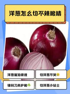 切完洋葱眼睛不舒服怎么办_洋葱切眼流泪？冲洗冷敷戴眼镜！