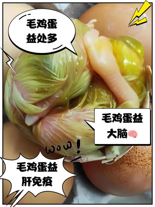 未孵小鸡的蛋有营养吗_食用需注意安全