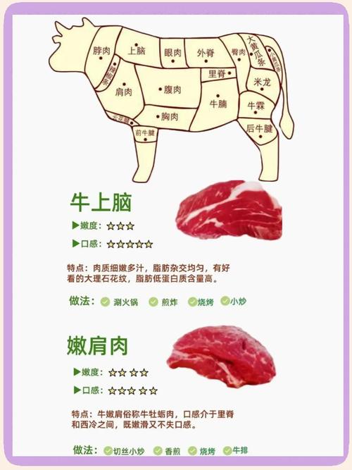牛肉肥牛部位肉详细分解图_牛排西冷眼肉精选部位