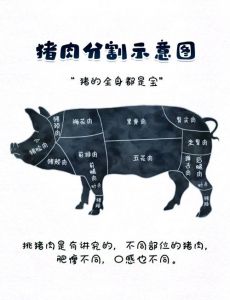 猪滚边肉正确位置图_猪滚边肉肥瘦相间，适合炒炖，选购烹饪有讲究！