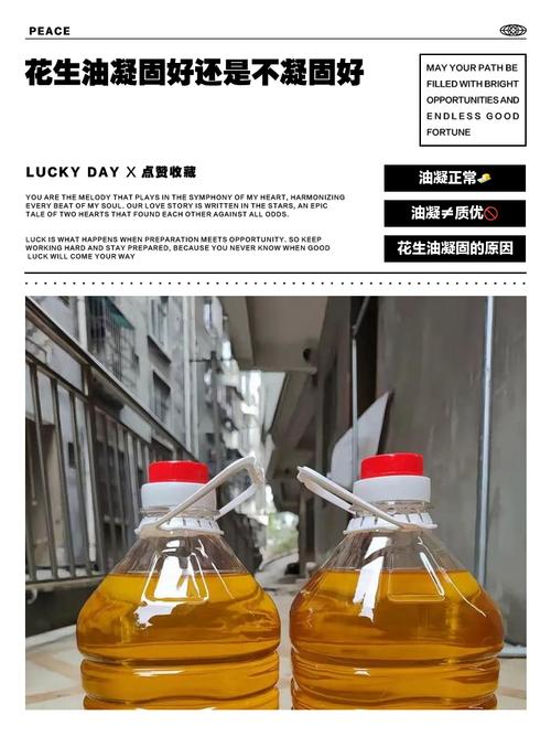 纯花生油冬天会凝固吗_花生油冬天凝固正常?别担心,是纯度标志! 纯花生油冬天会凝固吗_花生油冬天凝固正常?别担心,是纯度标志!