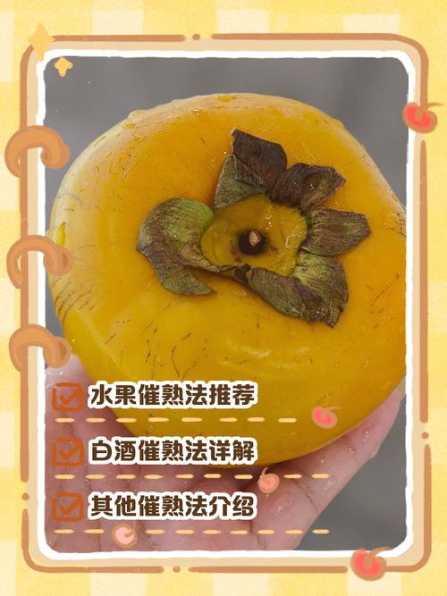 柿子涩口怎么办处理_温水水果催熟盐腌法 柿子涩口怎么办处理_温水水果催熟盐腌法