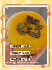 柿子涩口怎么办处理_温水水果催熟盐腌法