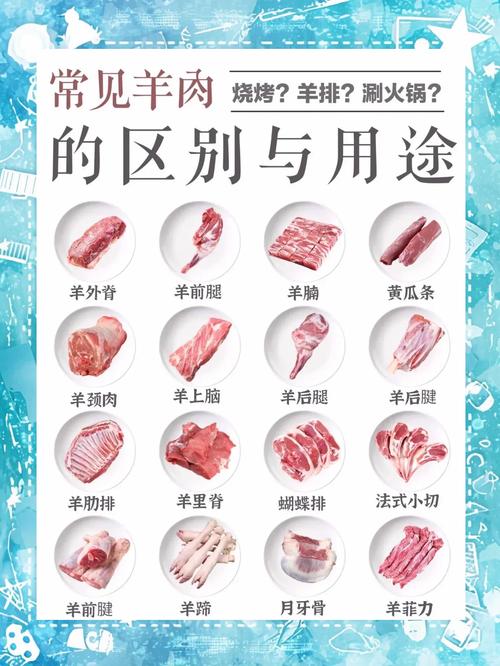 羊的部位名称大全图解_颈卤烤上脑火锅里脊煎腩肉红烧