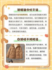 羽绒服洗过以后有印子怎么去除_羽绒服洗后白印？白醋酒精清洗剂去印