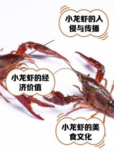 鳌虾可以深水养吗_浅水好养虾，侧翻不一定是坏事