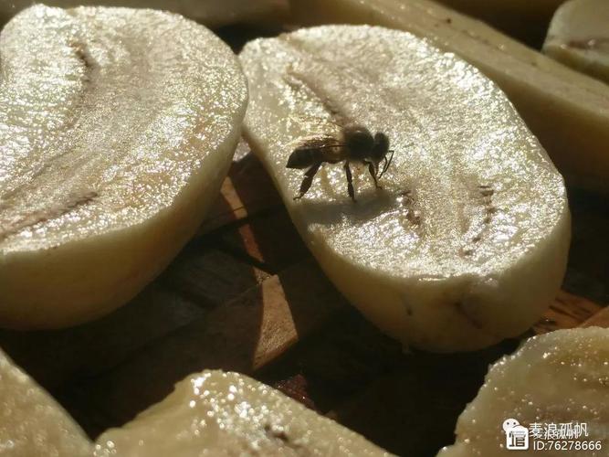 干掉的芭蕉汁怎么处理_爆炸盐热水洗芭蕉渍，小苏打除顽固污渍