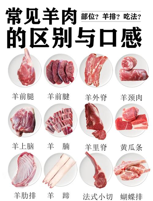 羊肉各部位分解图_羊肉部位不同，做法各异！