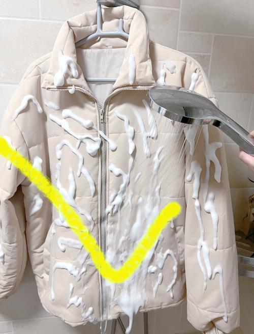 羽绒服沾到树汁怎么清洗_羽绒服树汁污渍，盐水搓洗再冲泡黄油污渍纸巾吸油，卸妆油洗特殊面料用温和剂