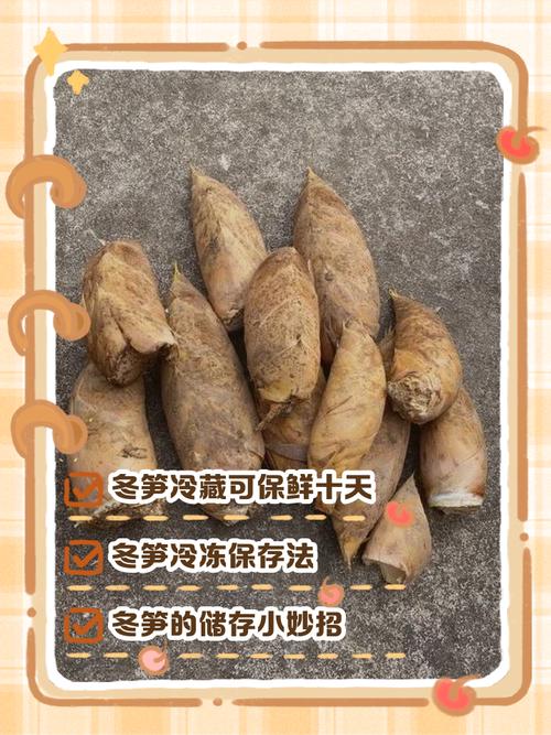 冬笋涩口怎么办_焯水或搭配食物可去冬笋涩味