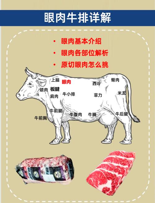 眼肉排是牛的哪个部位图解_牛肋脊中心肥美多汁 眼肉排是牛的哪个部位图解_牛肋脊中心肥美多汁