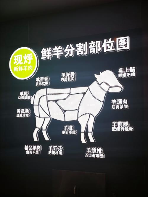 羊各部位名称图_羊肉各部位图解及做法,吃肉不浪费! 羊各部位名称图_羊肉各部位图解及做法,吃肉不浪费!
