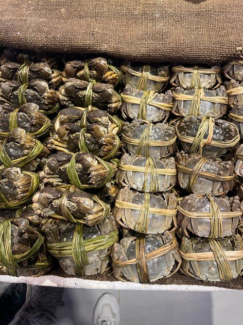 石蟹科为什么不是螃蟹_深海与浅海的不同世界 石蟹科为什么不是螃蟹_深海与浅海的不同世界