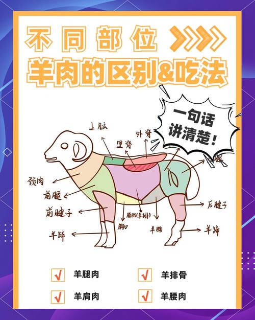 羊肉各部位分解图_羊肉部位不同，做法各异！