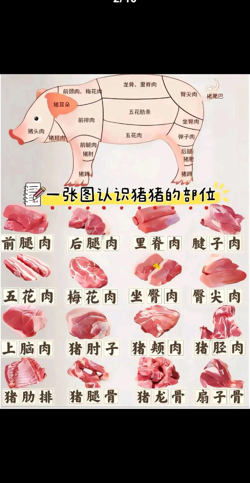猪滚边肉正确位置图_猪滚边肉肥瘦相间，适合炒炖，选购烹饪有讲究！