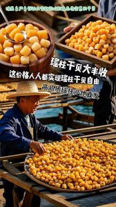 干贝为什么叫瑶柱_鲜美海鲜，营养丰富，煲汤炒菜皆宜！