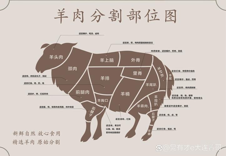 羊各部位名称图_羊肉各部位图解及做法,吃肉不浪费! 羊各部位名称图_羊肉各部位图解及做法,吃肉不浪费!