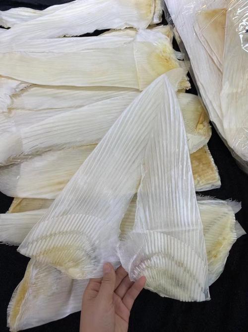 干鱼翅是什么样_看形态颜色，泡发实验验真伪