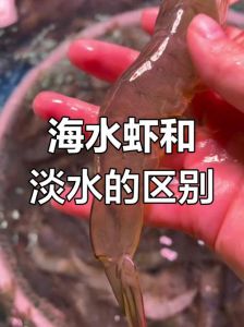 养殖虾算海鲜吗_养殖虾算海鲜？营养安全，选对很重要！