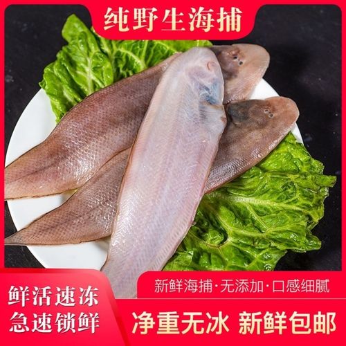 冻龙利鱼是深海鱼吗_龙利鱼近海鱼，无刺嫩滑，但胆固醇高
