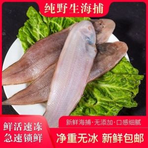 冻龙利鱼是深海鱼吗_龙利鱼近海鱼，无刺嫩滑，但胆固醇高