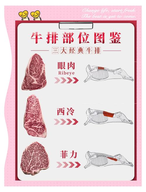 眼肉排是牛的哪个部位图解_牛肋脊中心肥美多汁 眼肉排是牛的哪个部位图解_牛肋脊中心肥美多汁