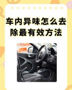 车里泼了醋怎么去除醋味_车里有醋味？通风放炭包除味！